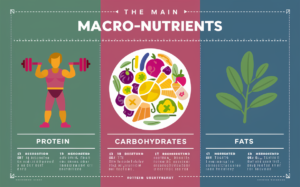 Macronutrients, protein, carbs, fats